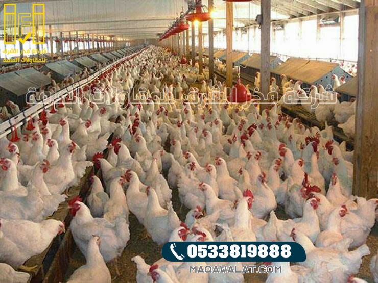 مقاول حظائر دواجن في تبوك فخر الشرق افضل شركه بناء حظائر لدواجن في تبوك 0533819888