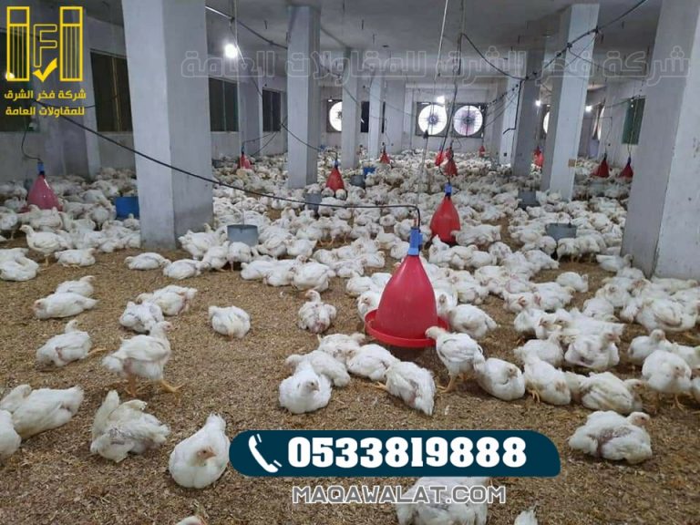 مقاول حظائر دواجن في الباحة فخر الشرق افضل شركه بناء حظائر لدواجن في الباحة 0533819888